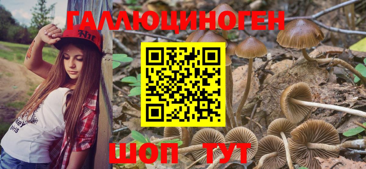 Галлюциногенные грибы прущие грибы  Псилоцибиновые грибы Psilocybe  Казань  Вход с VPN 