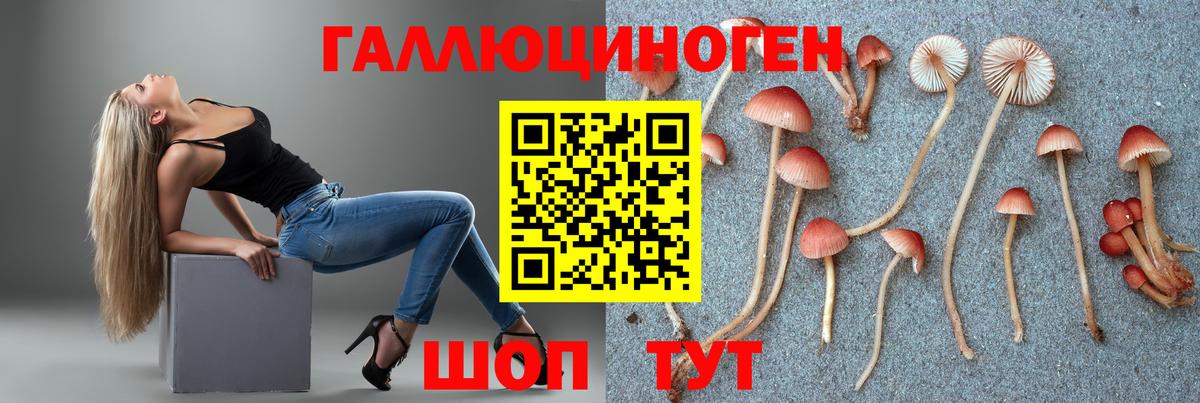 Псилоцибиновые грибы мицелий Казань